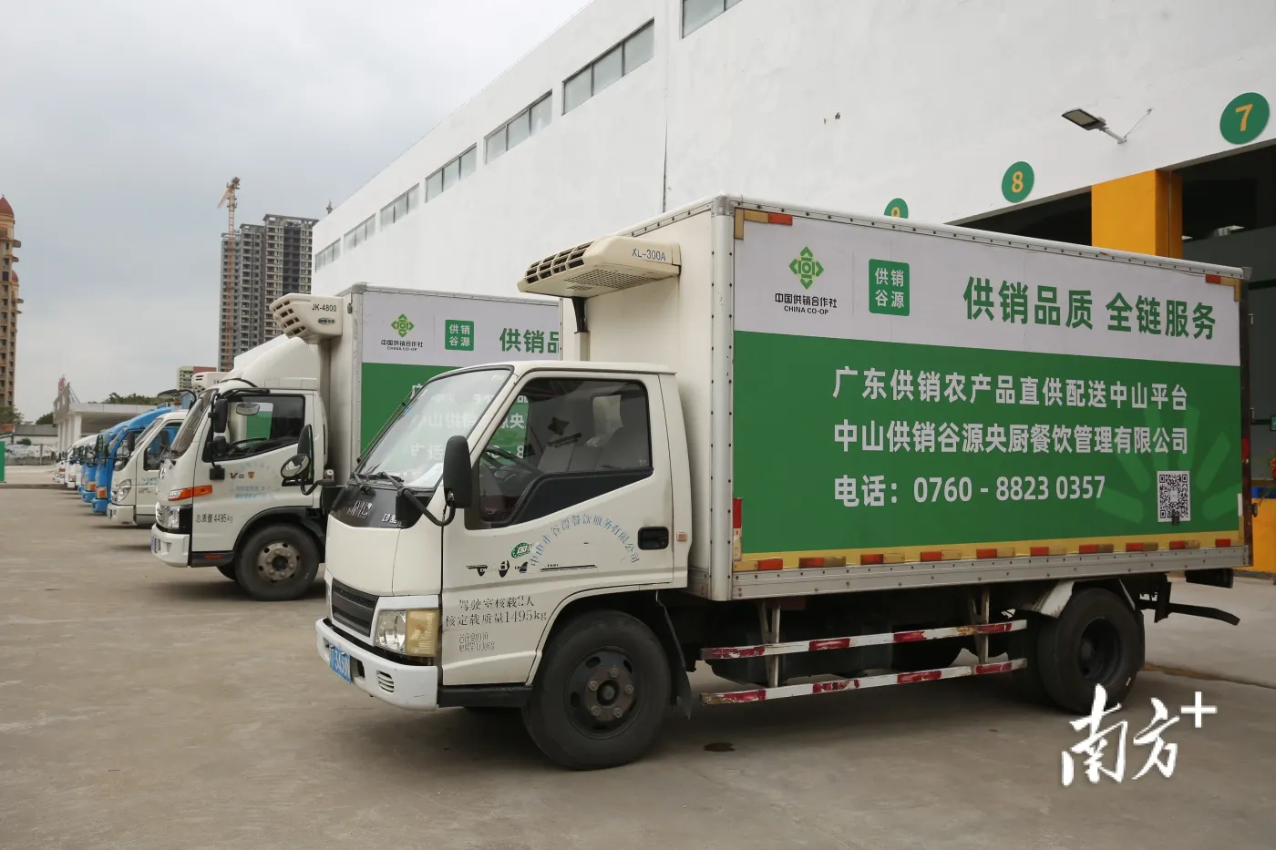 四川水果批发选购指南：优质新鲜的保障