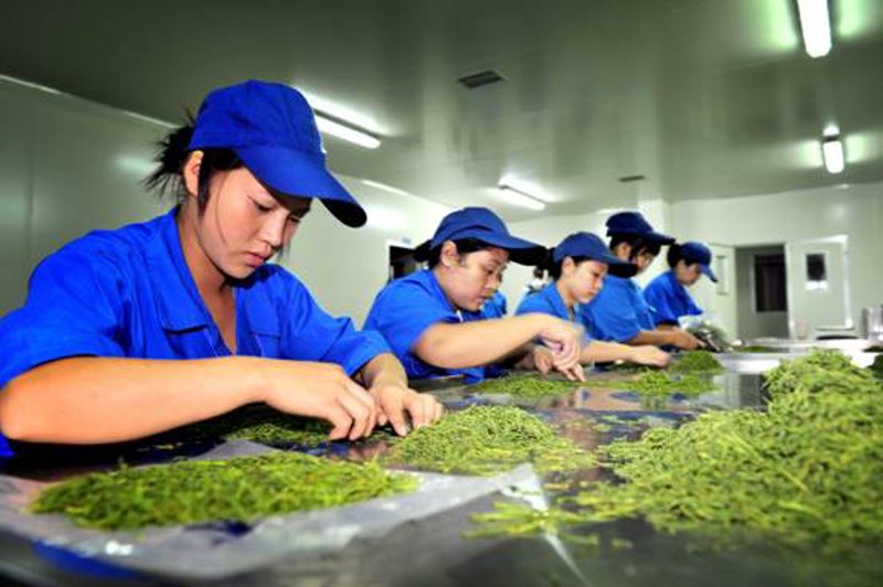 开启味蕾之旅：苍溪县农产品的选用技巧