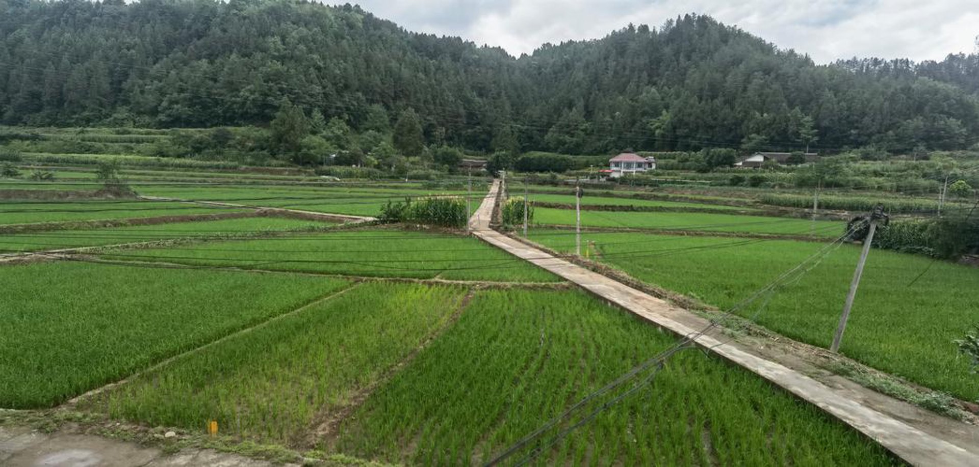 苍溪山宝农业