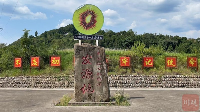 苍溪县农产品